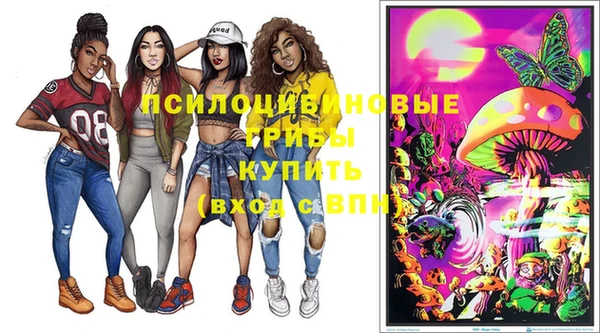 хмурый Алексин