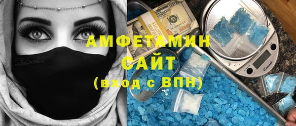 хмурый Алексин