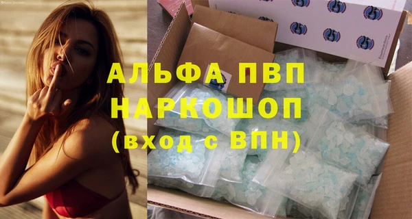 хмурый Алексин