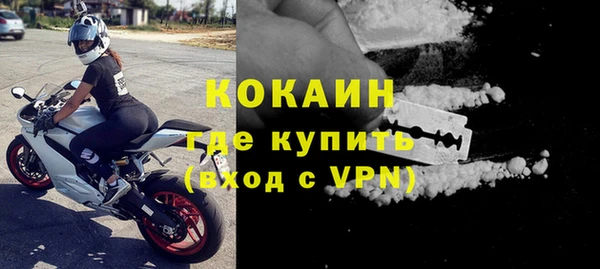хмурый Алексин