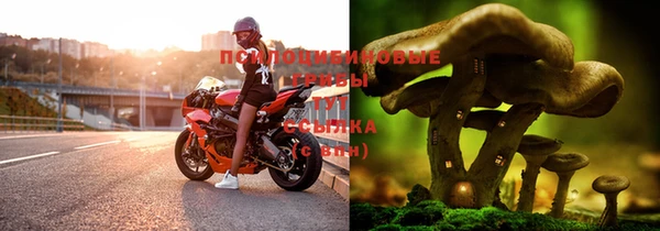 хмурый Алексин