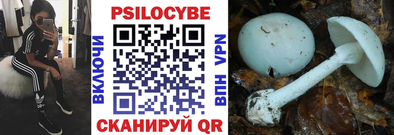 Галлюциногенные грибы GOLDEN TEACHER Талдом
